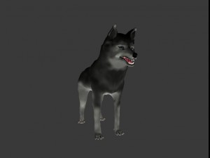 wolf Modèle 3D