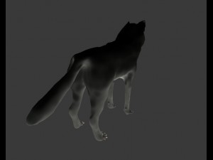 wolf Modèle 3D