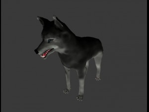 wolf Modèle 3D