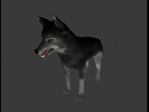 wolf 3D Model