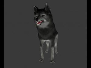 wolf Modèle 3D