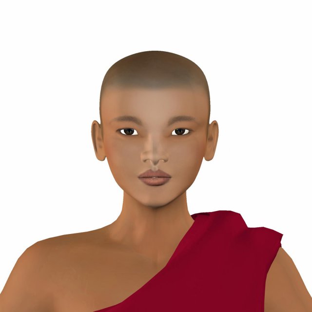 monk 3D Model .c4d .max .obj .3ds .fbx .stl .blend 