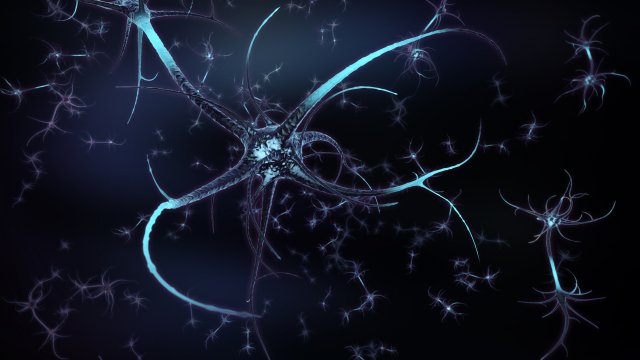 neuron Model 3D .c4d .max .obj .3ds .fbx .stl .blend 