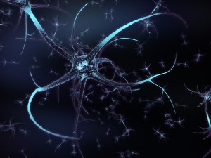 neuron 3D Model
