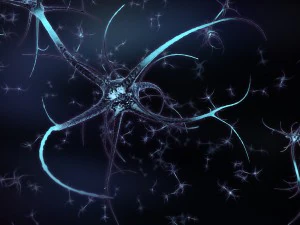 ニューロン 3Dモデル