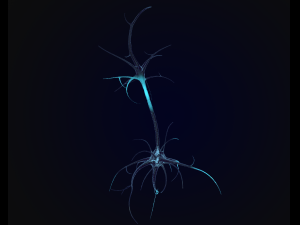 neuron Model 3D