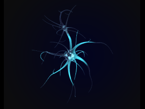 neuron Model 3D