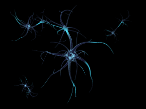 neuron Model 3D