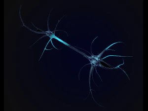 neuron 3D Model