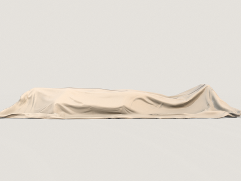 Body Bag 3Dモデル
