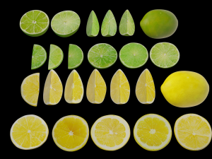 lime and lemon pbr low-poly Modelo 3D
