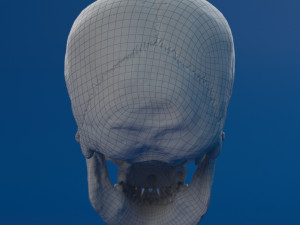 human skull female Modello 3D