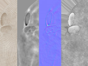 female torso Model 3D