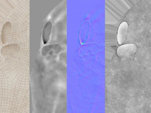 female torso 3D Model