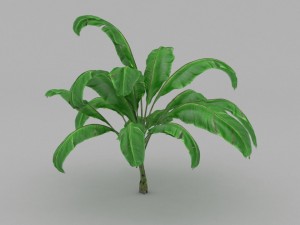 plant Model 3D