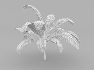 plant 3D 모델