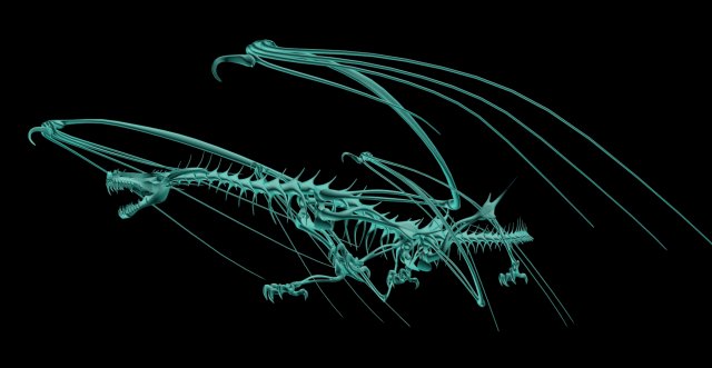 dragon 3D 모델 .c4d .max .obj .3ds .fbx .stl .blend 