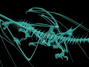 dragon 3D 모델