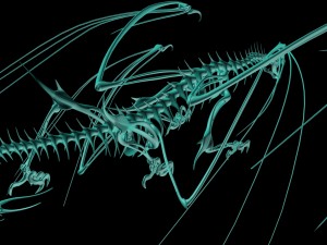 dragon 3D 모델
