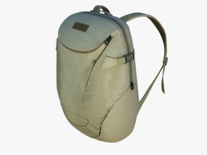 backpack 3D Model