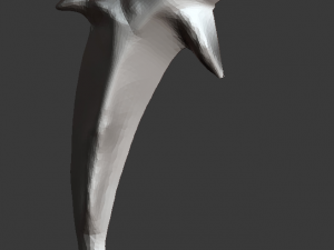 dolphin 3D Print Model