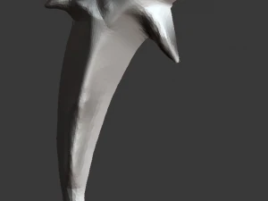 dolphin 3D Print Model