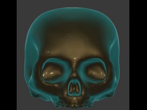 skull 3D Print Model