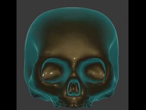 두개골 3D 프린트 모델