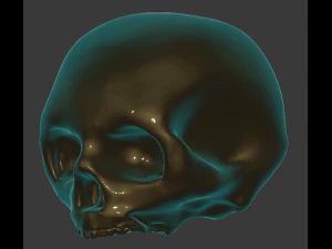 skull 3D Print Model