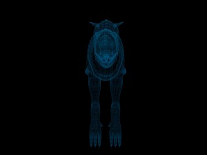 carnotaurus dinosaur non rigged Modello 3D