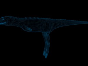 carnotaurus dinosaur non rigged Modello 3D