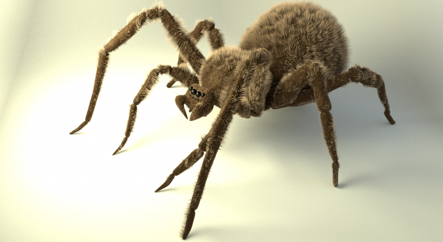 shaggy spider Modelo 3D .c4d .max .obj .3ds .fbx .stl .blend 