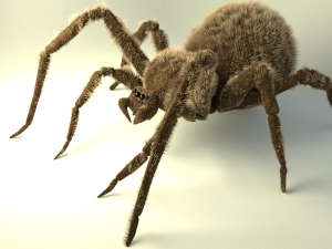 shaggy spider 3D Model