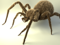 Shaggy spider 3D-Modell