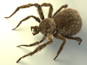 shaggy spider Modelo 3D
