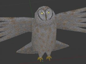 great grey owl 3D Model
