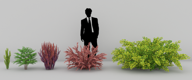 plants berberis 3D Модель .c4d .max .obj .3ds .fbx .stl .blend 