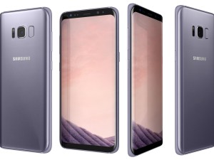 samsung galaxy s8 orchid gray 3Dモデル