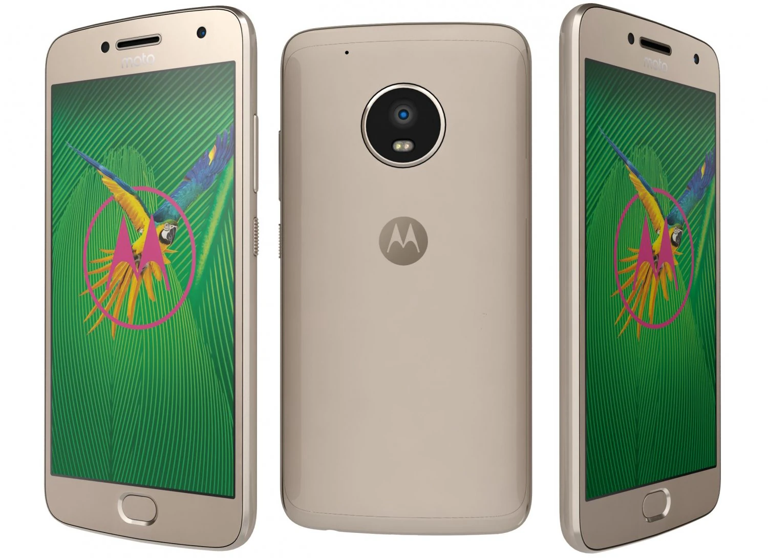 motorola moto g5 plus fine gold 3D Model .c4d .max .obj .3ds .fbx .stl .blend 
