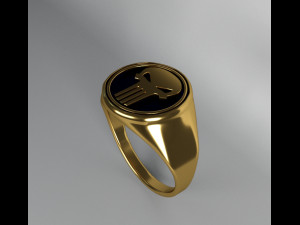 ring the punisher 3D Model