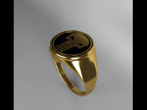 ring the punisher 3D Model