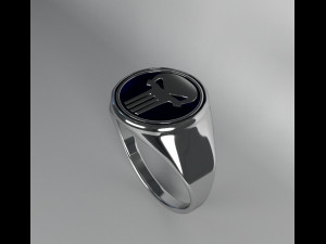 ring the punisher 3D Model