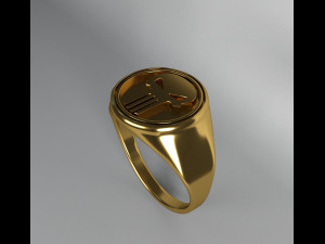 ring the punisher 3D Model
