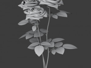 rose 3D-Modell