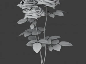 rose 3D Model