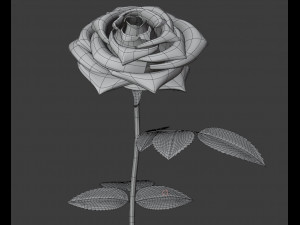rose 3D-Modell