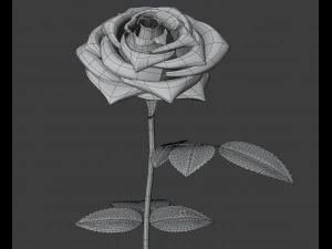 rose 3D Model