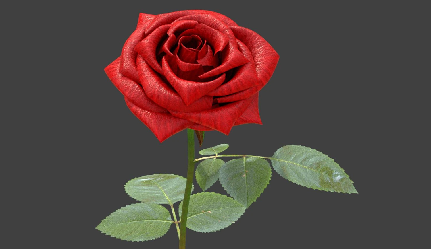 rose 3D Model .c4d .max .obj .3ds .fbx .stl .blend