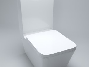 toilet Modelo 3D