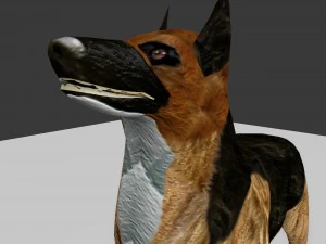 dog 3D Model